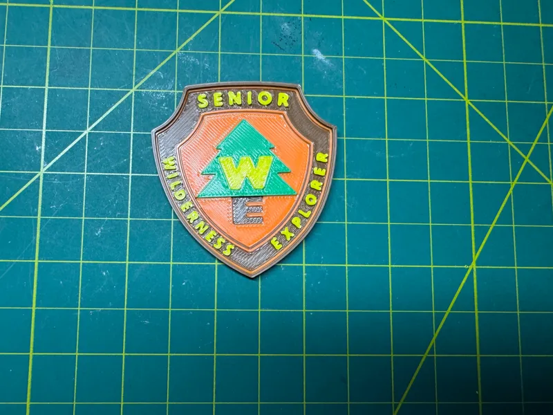 Senior Wilderness Explorer Cast Appreciation Token