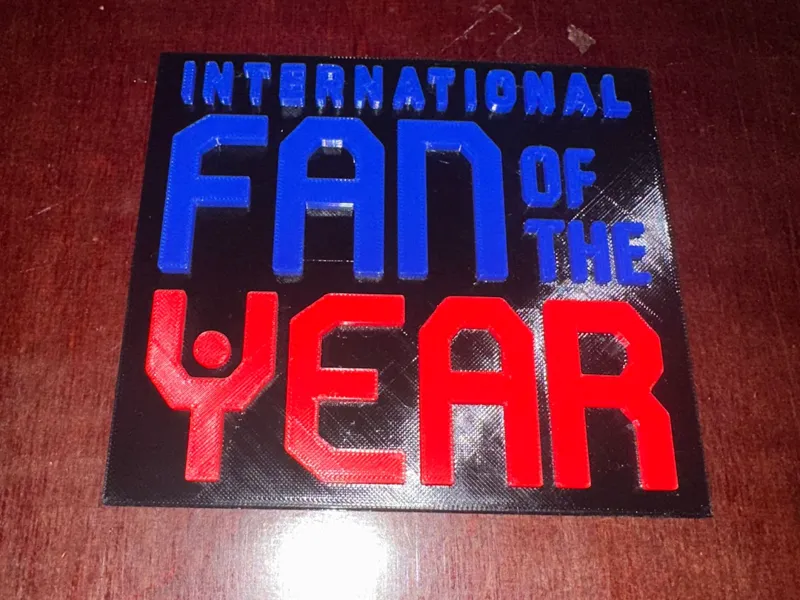 International Fan of the Year NFL Plaque