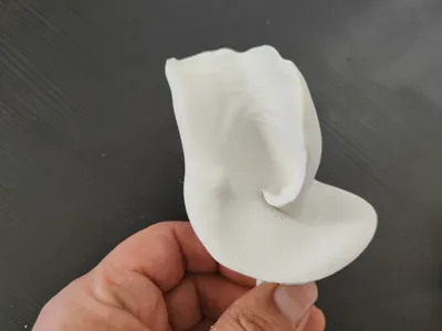 calla flower