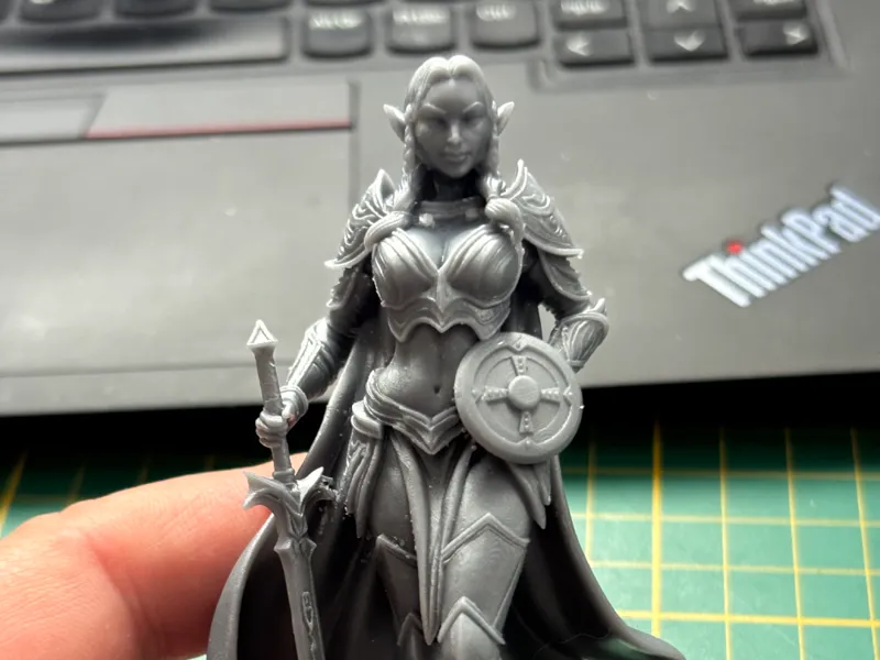 ELVEN WARRIOR MAIDEN 