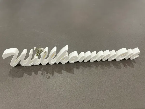 https://makerworld.bblmw.com/makerworld/model/US4c68b1a70dc65e/design/2025-02-17_7ea208e068c95.jpeg