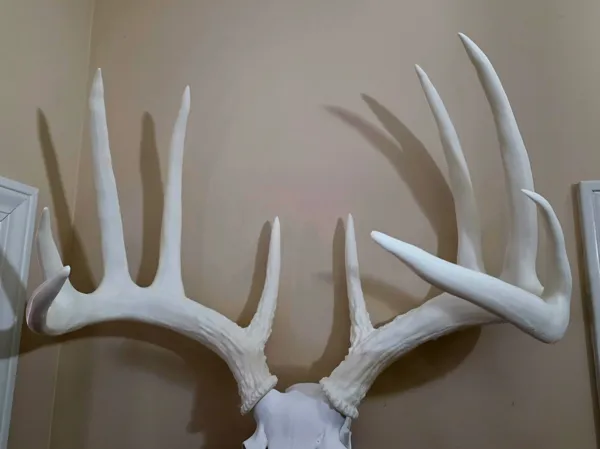 https://makerworld.bblmw.com/makerworld/model/US4c701b6444b262/design/2025-12-24_b0fdc4f1e607c8.jpg