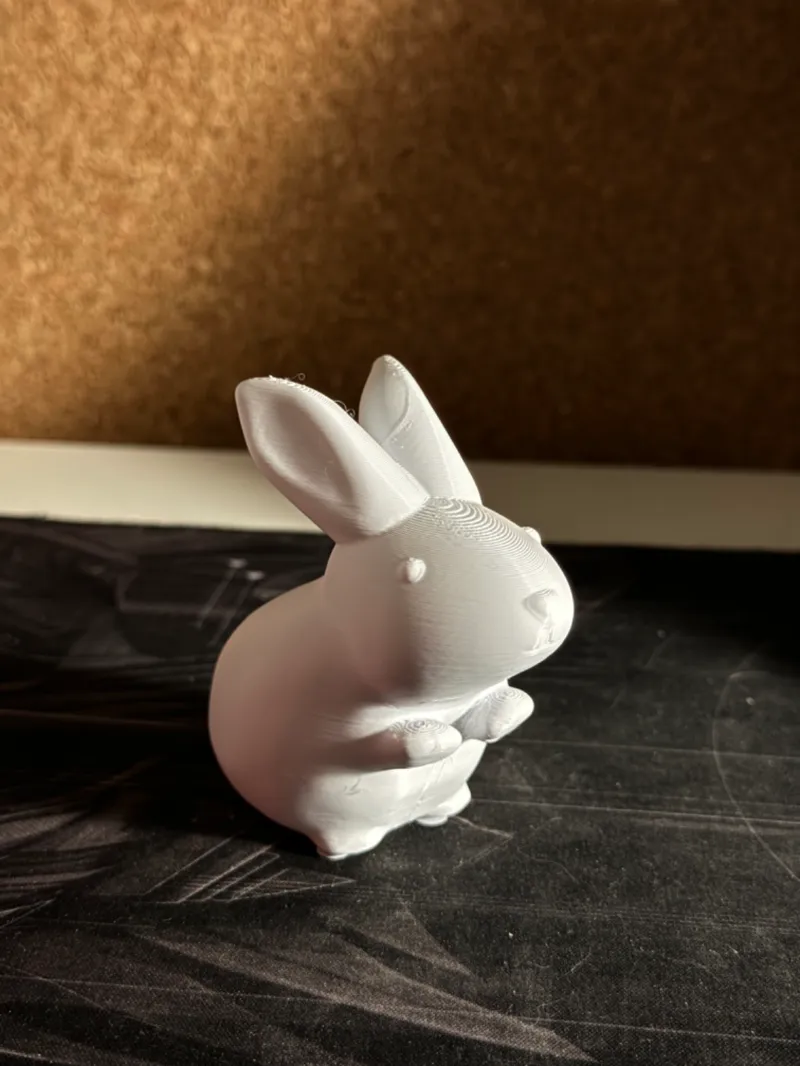 Japanese fertility rabbit