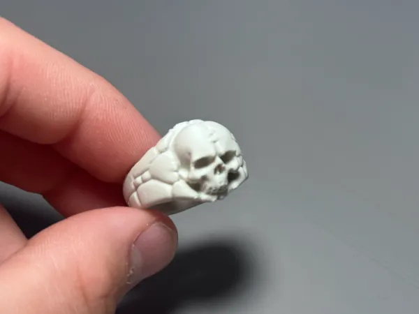 https://makerworld.bblmw.com/makerworld/model/US4c77d228a66dae/design/2025-06-09_0d9e19964da948.jpg