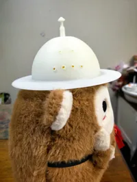 小尺寸内径106，适合小猫戴