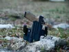Right Hand Glock 34 with Ameriglo sights and SRO Optic