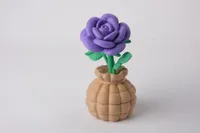 0.16mm layer, 3 walls, 20% infill