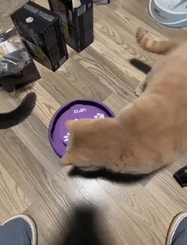 https://makerworld.bblmw.com/makerworld/model/US4c7dd9d848ebc2/design/2024-01-05_123e4776dd0ab.gif