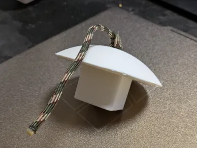 Baseball base plug with pull rope