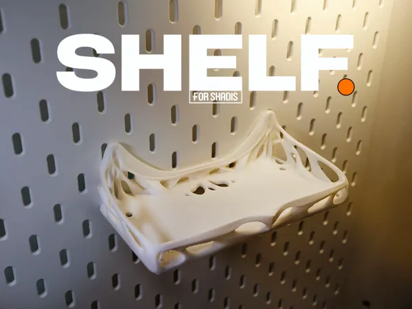 https://makerworld.bblmw.com/makerworld/model/US4c8cad91dd983f/design/2024-12-31_1a3f787ec2542.jpg