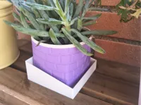 Vaso diametro interno Cm10.5