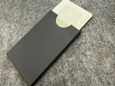 Dual Card Protector / Wallet v2