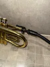 XS - French horn, cornet - 0.2mm layer, 4 walls, 18% infill