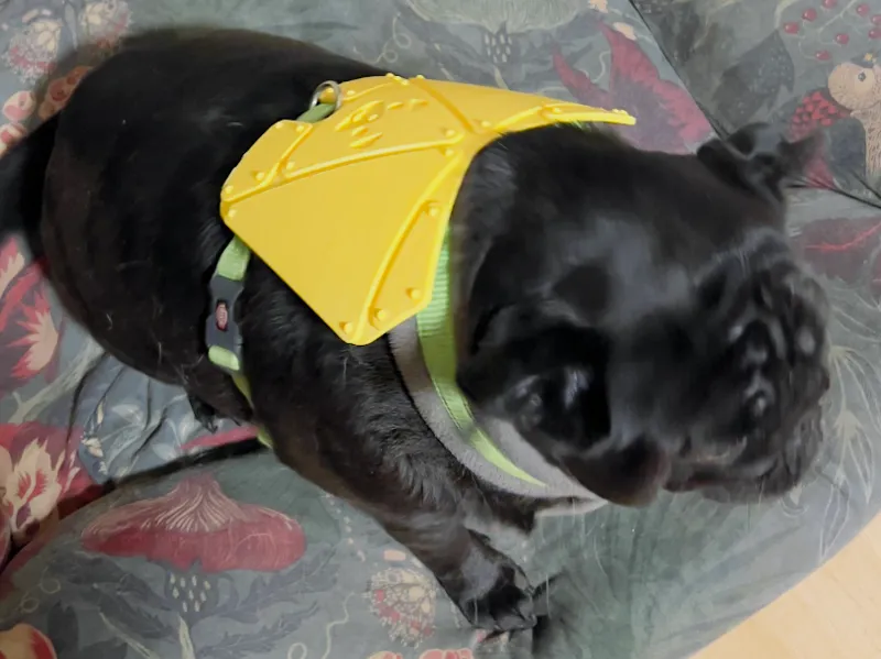 PugMour — Fun Armour Add-ons for Pug Harnesses