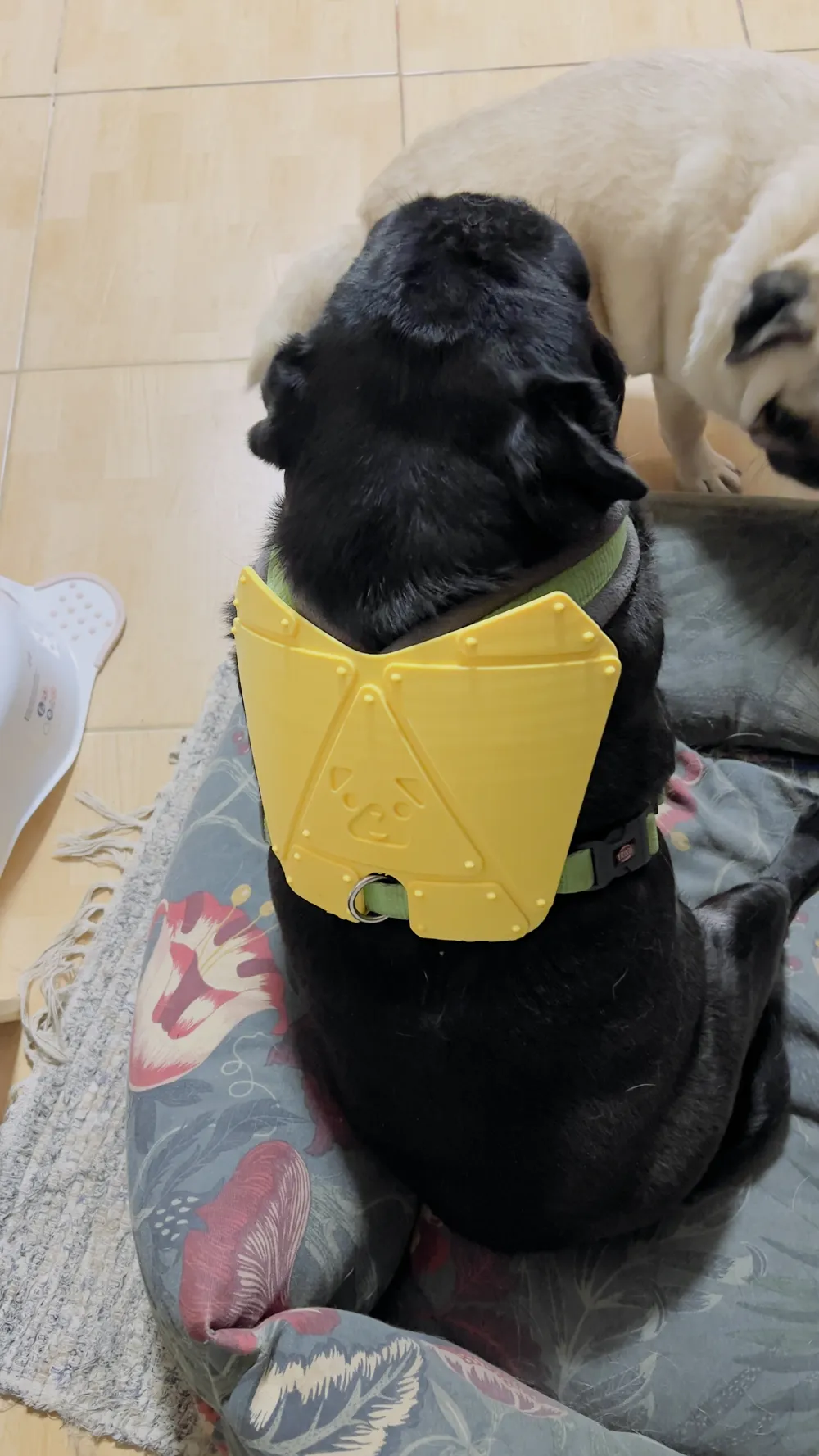 PugMour — Fun Armour Add-ons for Pug Harnesses - Free 3D Print Model ...