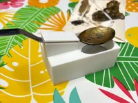 Support de cuillère pour cachet de cire — photo 2