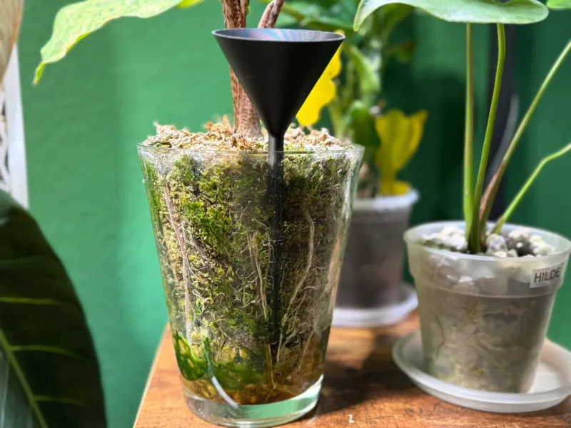Moss-Saver Bottom Watering Funnel Set