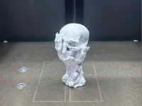 0.16mm layer, 2 walls, 15% infill