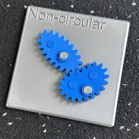 Engrenages non circulaires — modèle pédagogique — photo 3