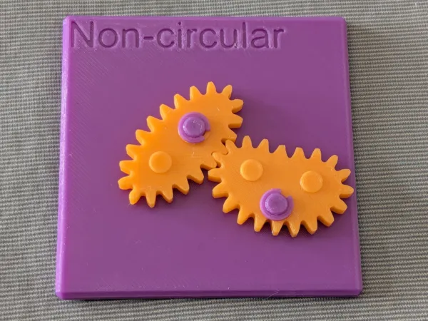 Engrenages non circulaires — modèle pédagogique