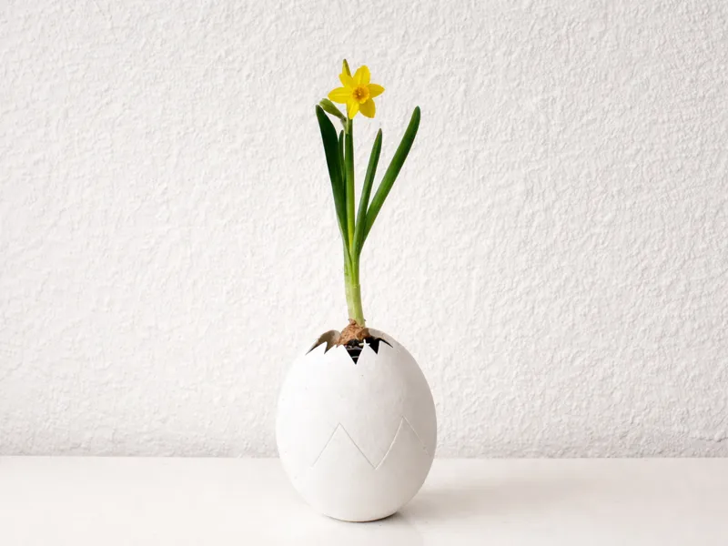 Easter Egg Vase / Planter