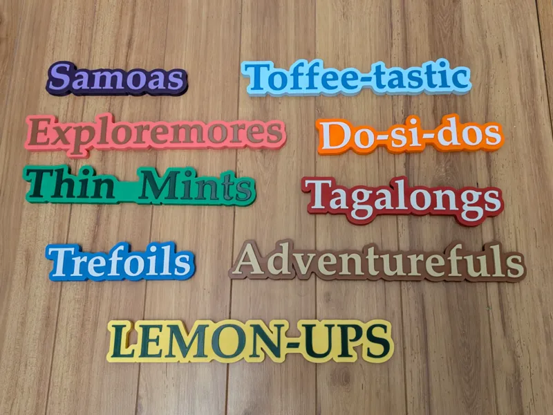 Girl Scout Cookie Keychain and signage -Thin Mints