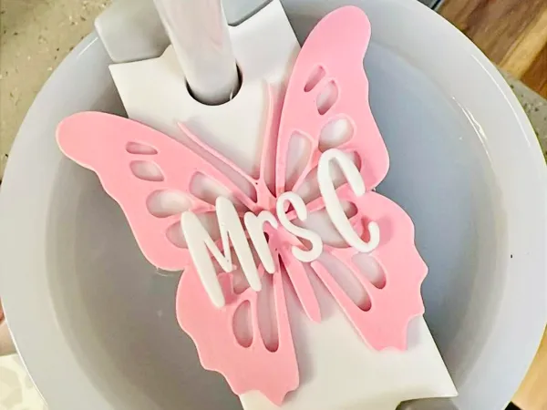 https://makerworld.bblmw.com/makerworld/model/US4ca42b2488c796/design/2025-01-09_028943997afd5.jpeg