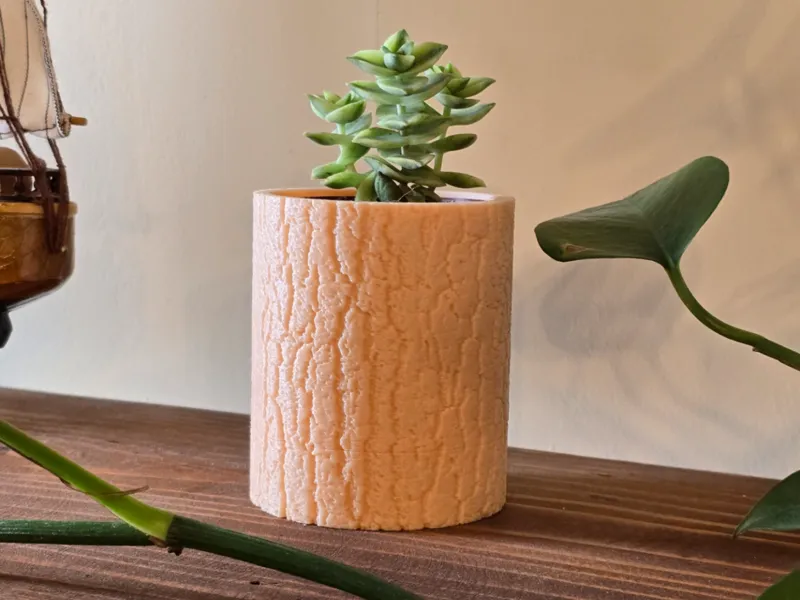 Succulent pot - with drainage | Bark texture