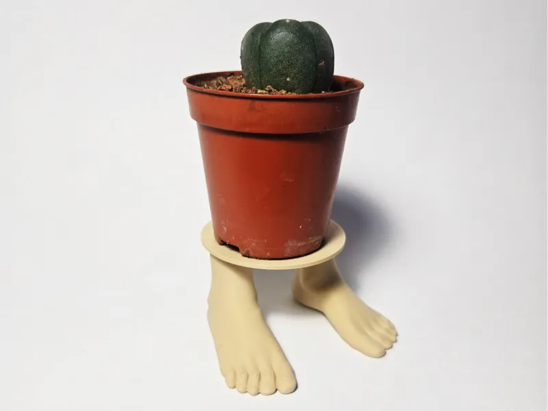 Feet Table