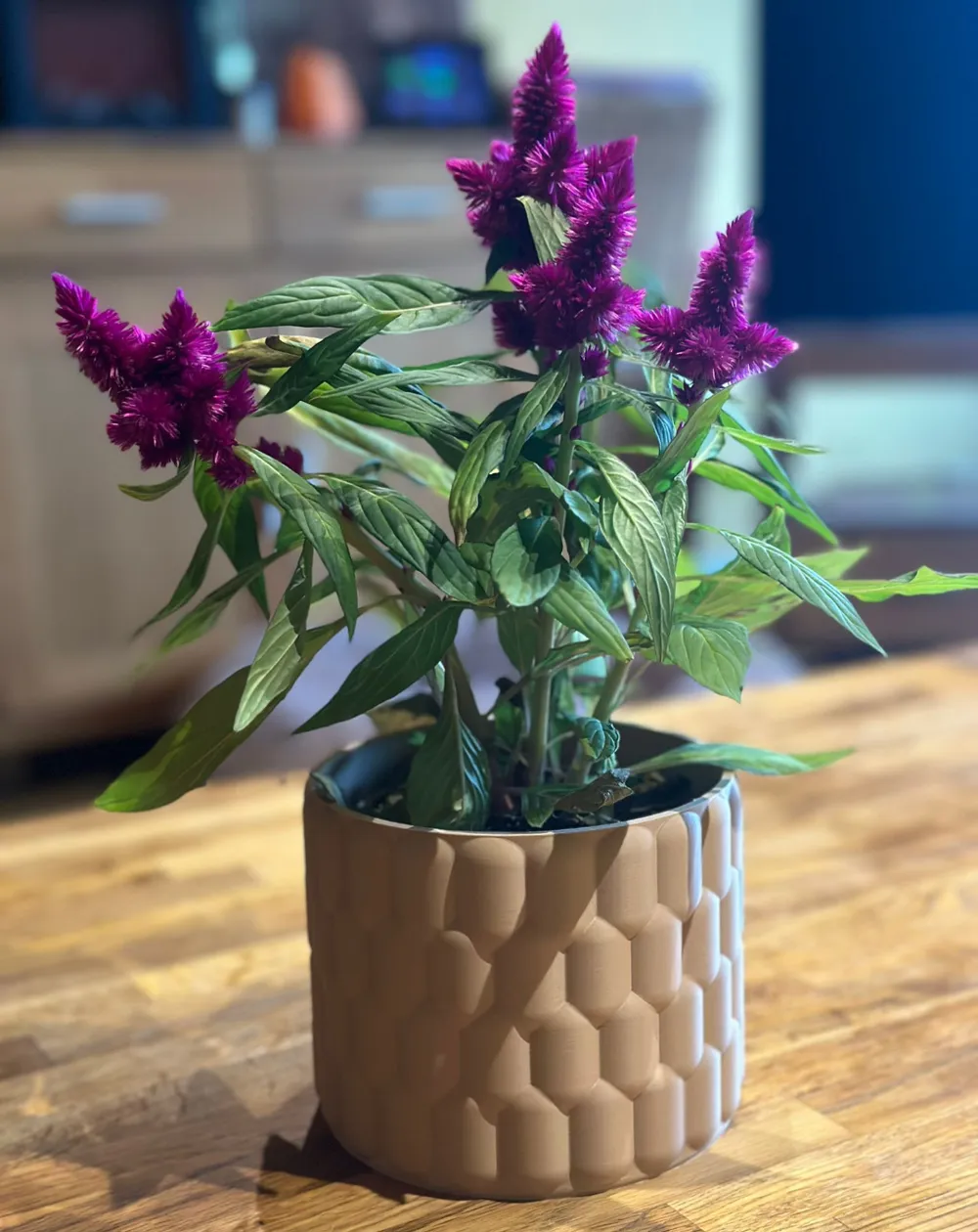 Planter-V3 by Solid - MakerWorld
