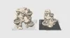 Big  Version - 0.2mm layer, 2 walls, 4% infill