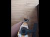 0.16mm layer, 6 walls, 18% infill
