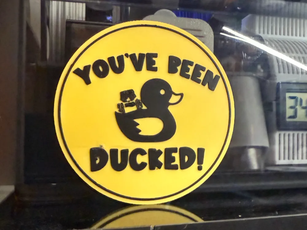 YOU'VE BEEN DUCKED! by 3DPrinting4fun MakerWorld: Download Free 3D Models