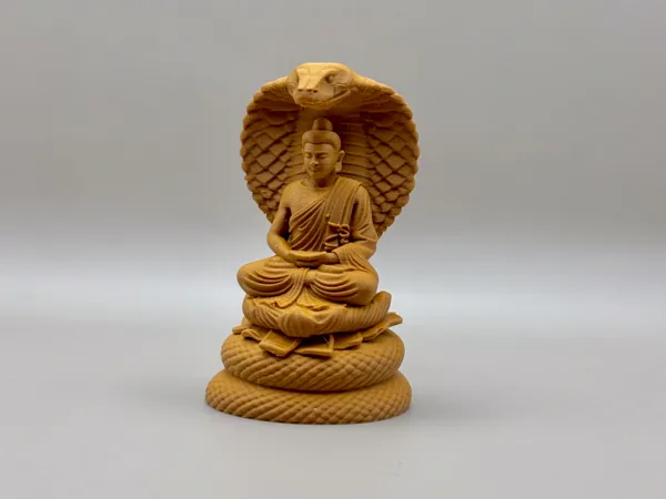 https://makerworld.bblmw.com/makerworld/model/US4cb4b0af2e9bd2/design/2026-01-13_70acc134a9b958.jpg
