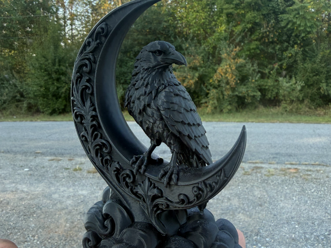 Raven on Moon - 1