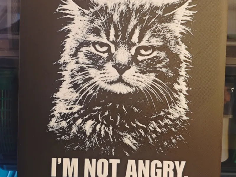 Hueforge Katze Grumpy 