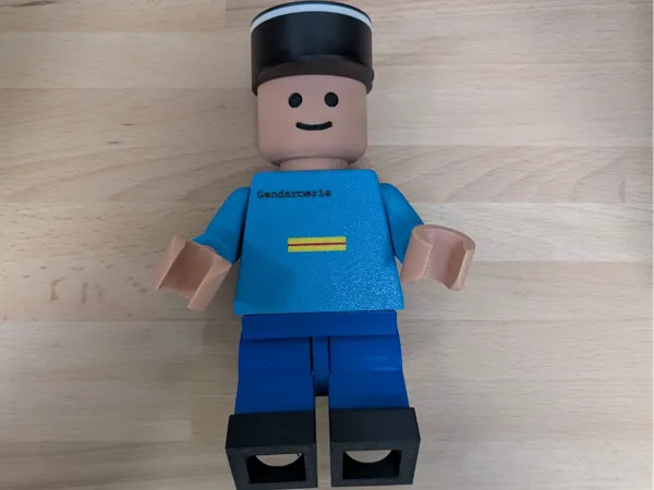 https://makerworld.bblmw.com/makerworld/model/US4cc15564204a78/design/2025-11-19_3246636a19324.jpeg