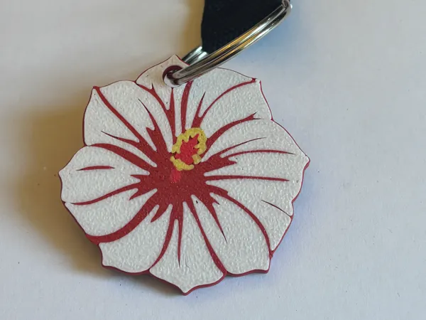 https://makerworld.bblmw.com/makerworld/model/US4cc5e8aa62aeac/design/2025-05-23_ed8f641554412.jpg