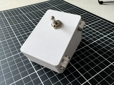 Light Switch box