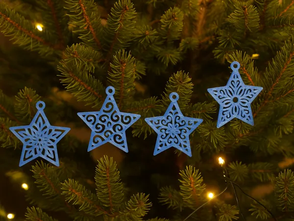 https://makerworld.bblmw.com/makerworld/model/US4cc9219b0bc09f/design/2025-11-05_bf187678c28678.png