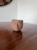 V1