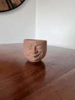 V1