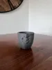 V3