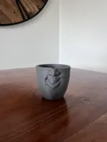 V3