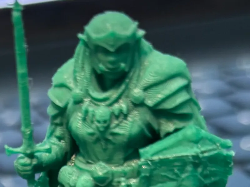 Half-Troll Paladin -HT Series 5