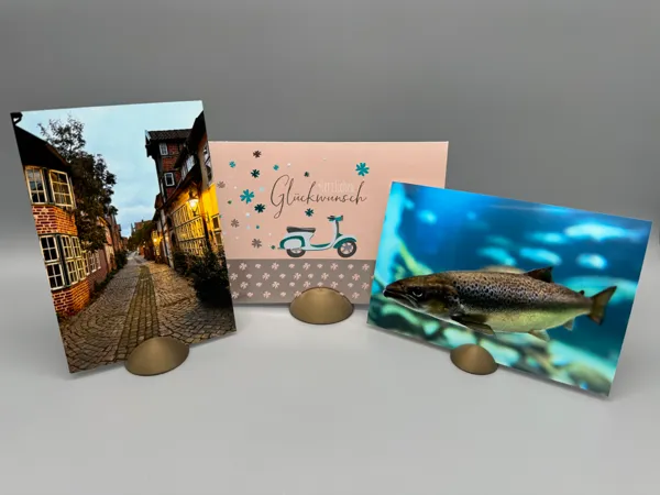 https://makerworld.bblmw.com/makerworld/model/US4cd555ca86d85b/design/2024-12-21_e71a5e82321ab8.jpeg