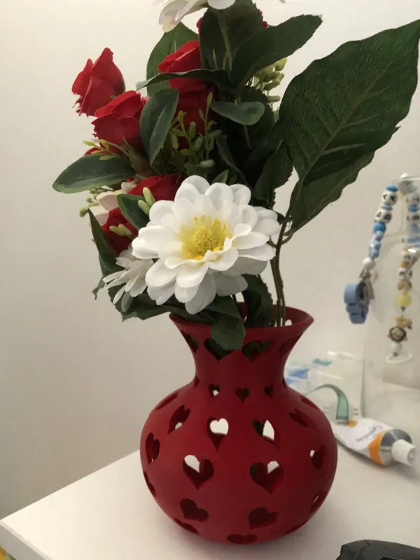 https://makerworld.bblmw.com/makerworld/model/US4cd646915362c0/design/2024-08-11_80b55f6479e228.jpg