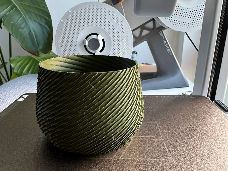 Gabi's Cactus Vase