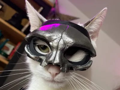 Catulus V (Ghost band Papa V Mask for Cats)