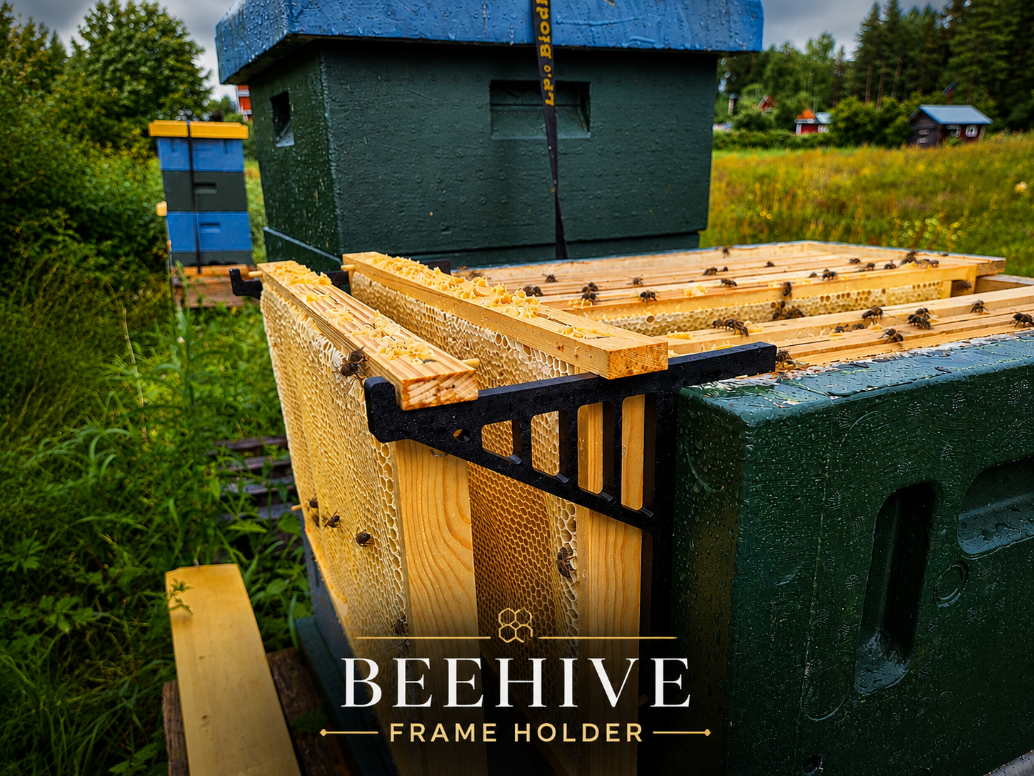 Beehive Frame Holder | Easy Hive Frame Support